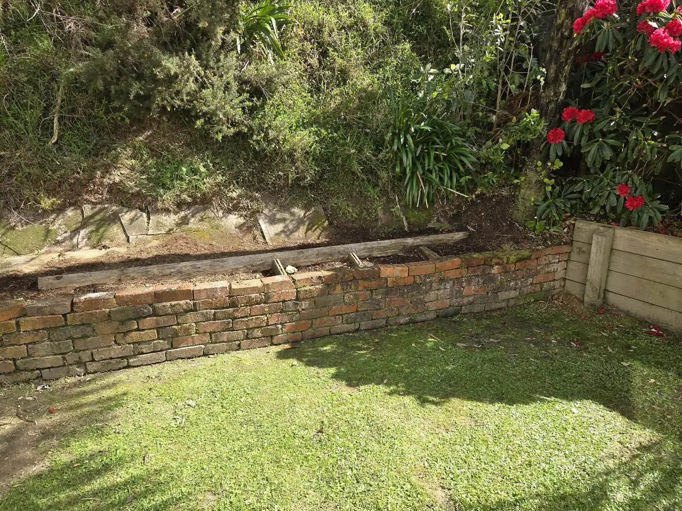 Garden bed being weeded and shaped during a regular garden maintenance visit in the Hutt Valley